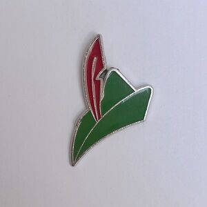 DISNEY PIN PETER PAN HAT FROM 4 PIN ICONIC SET